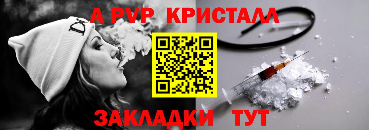 A PVP СК КРИС Петрозаводск