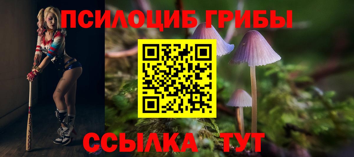 Галлюциногенные грибы мухоморы Петрозаводск