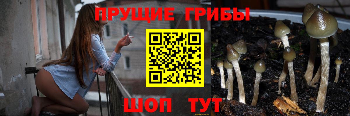 Петрозаводск  Галлюциногенные грибы MAGIC MUSHROOMS  Вход с VPN  наркота  Псилоцибиновые грибы MAGIC MUSHROOMS 